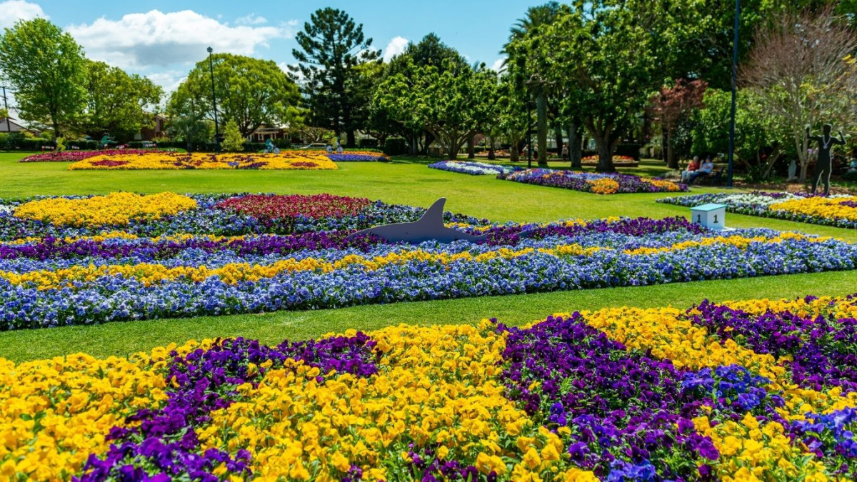 Discover the Toowoomba Carnival of Flowers